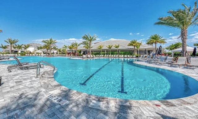 view of swimming pool featuring a patio