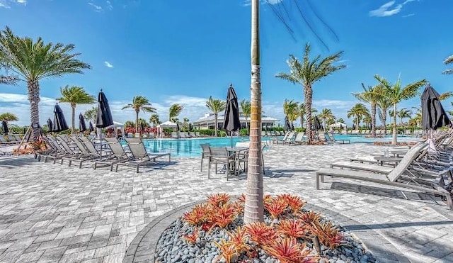 view of swimming pool with a patio area