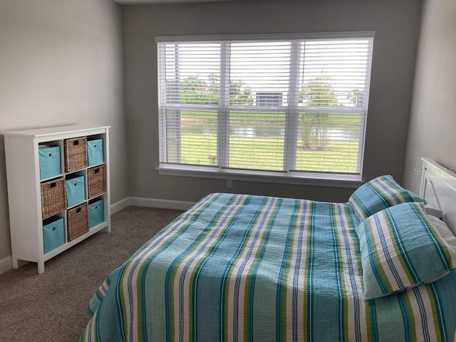 bedroom with carpet flooring and multiple windows