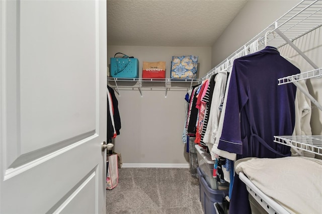 spacious closet featuring carpet floors