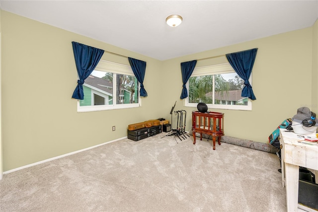 interior space with light colored carpet and a wealth of natural light