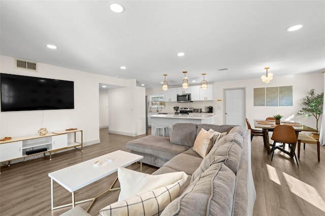 living room featuring wood-type flooring