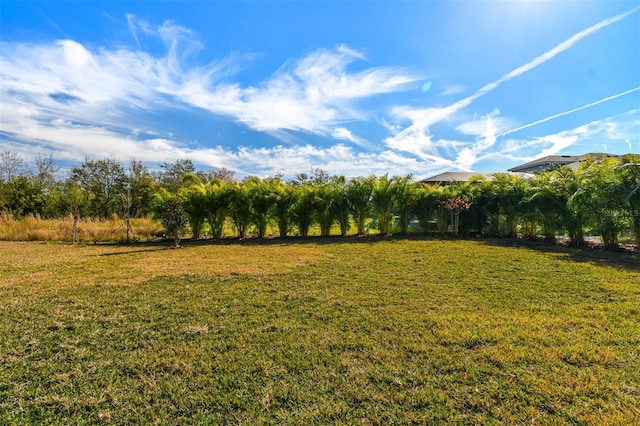 view of yard featuring a rural view