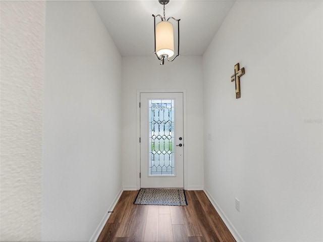 doorway to outside with dark wood-type flooring