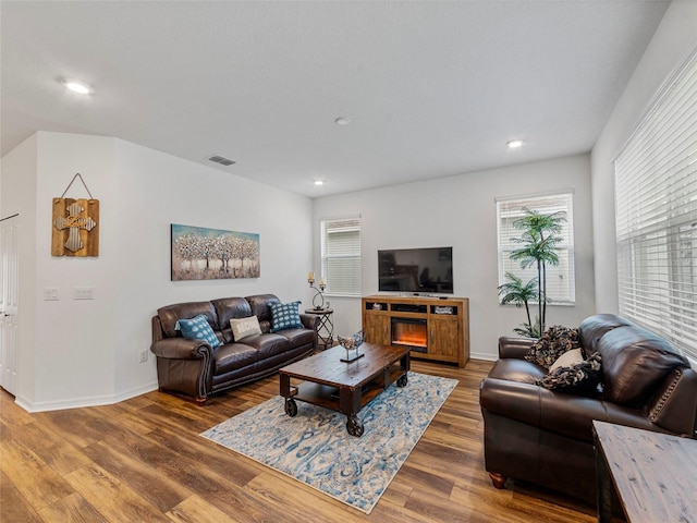 living room with hardwood / wood-style floors