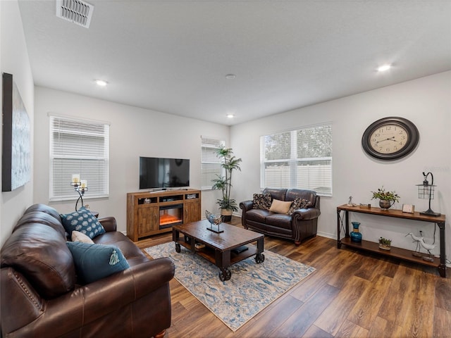 living room featuring dark hardwood / wood-style flooring