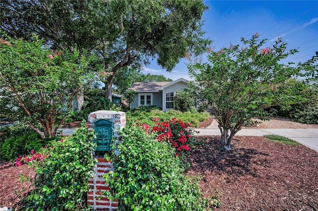 546 Orangewood Dr, Dunedin, FL 34698 - view of front of home