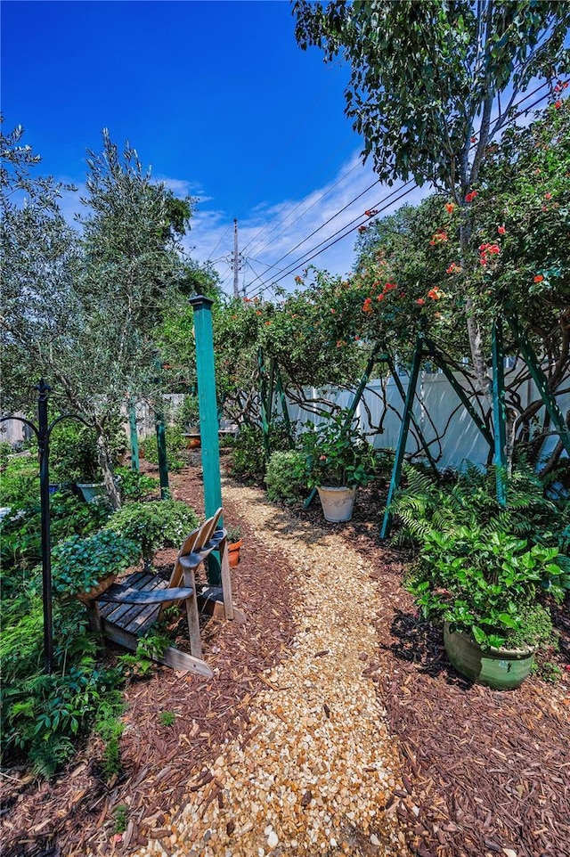 546 Orangewood Dr, Dunedin, FL 34698 - view of yard