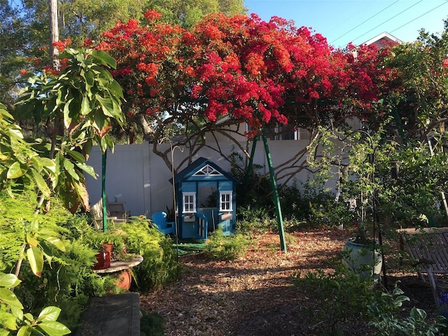 546 Orangewood Dr, Dunedin, FL 34698 - view of back of property