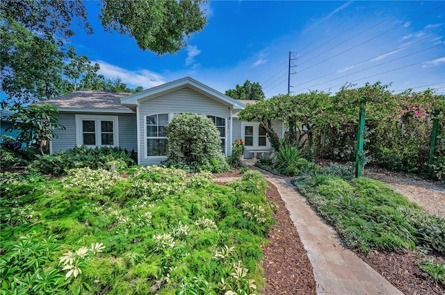 546 Orangewood Dr, Dunedin, FL 34698 - view of front of house