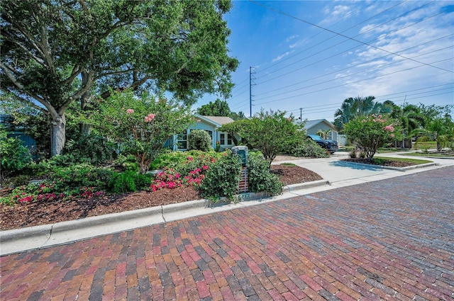 546 Orangewood Dr, Dunedin, FL 34698 - view of front of house