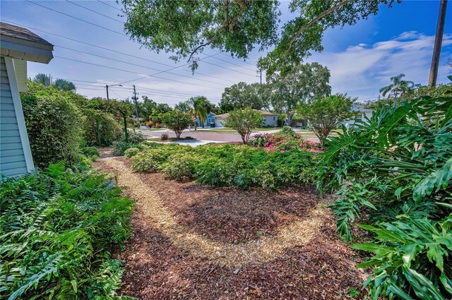 546 Orangewood Dr, Dunedin, FL 34698 - view of yard