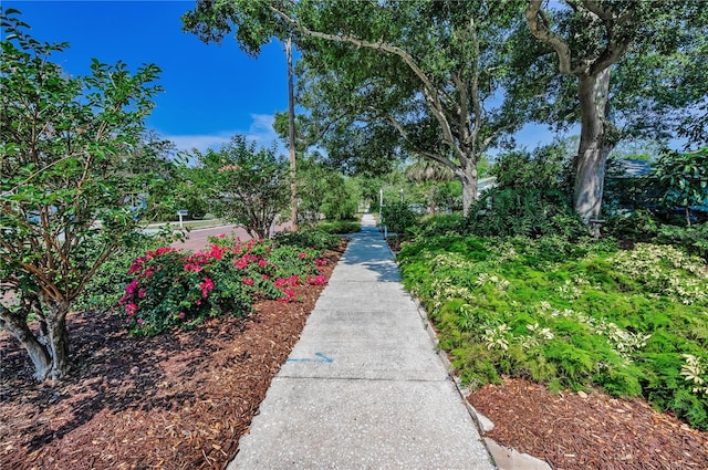 546 Orangewood Dr, Dunedin, FL 34698 - view of surrounding community
