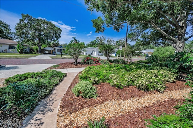 546 Orangewood Dr, Dunedin, FL 34698 - view of yard with a residential view