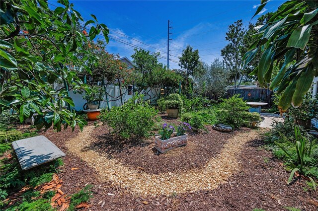 546 Orangewood Dr, Dunedin, FL 34698 - view of fenced yard