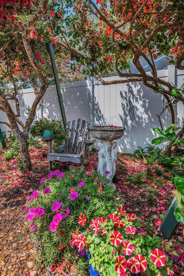 546 Orangewood Dr, Dunedin, FL 34698 - exterior view of a fenced backyard