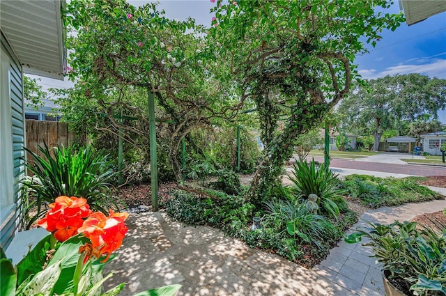 546 Orangewood Dr, Dunedin, FL 34698 - view of yard