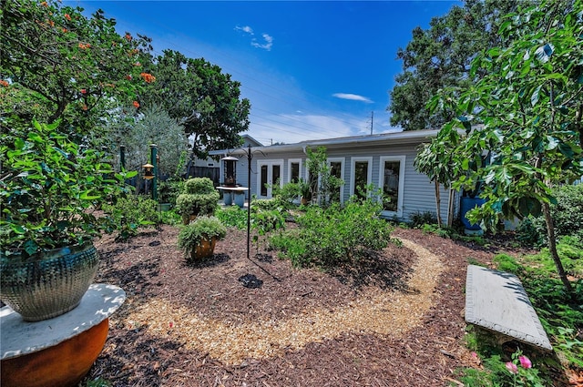 546 Orangewood Dr, Dunedin, FL 34698 - view of rear view of property