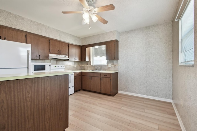 kitchen featuring white appliances, tasteful backsplash, sink, ceiling fan, and light hardwood / wood-style flooring