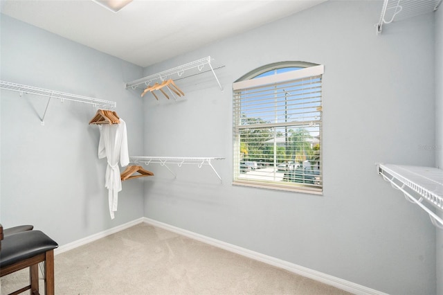 spacious closet with carpet