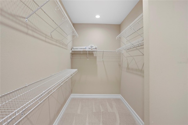 spacious closet featuring light colored carpet