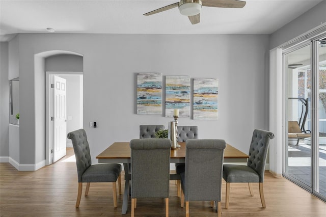 dining space with hardwood / wood-style flooring and ceiling fan