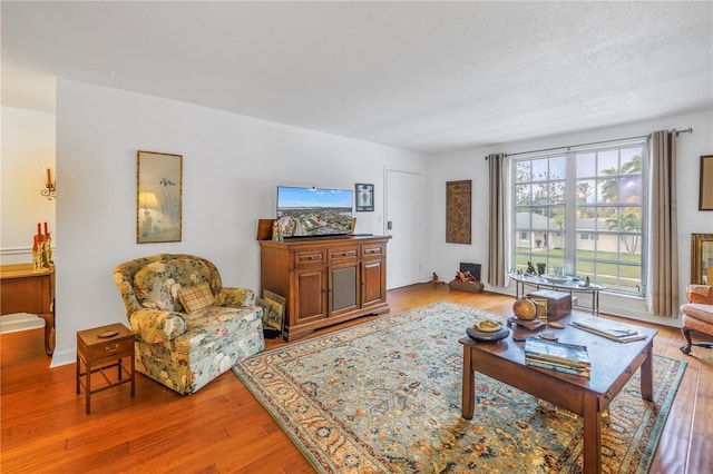 living room with light wood-type flooring