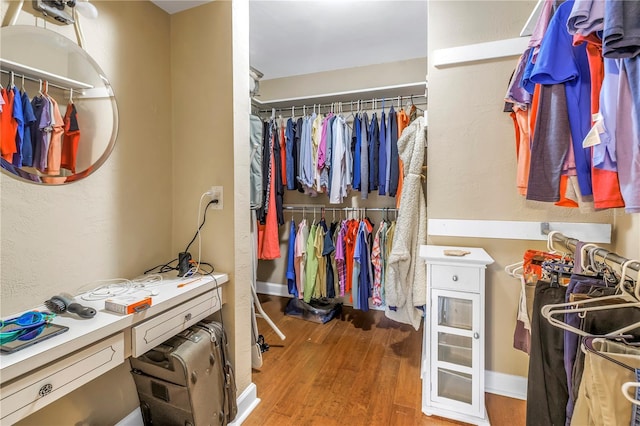 spacious closet with hardwood / wood-style flooring