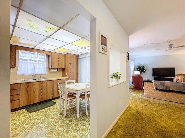 kitchen with sink and light carpet