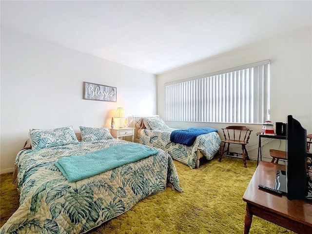 bedroom with carpet floors