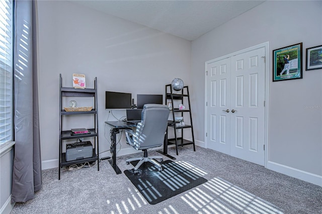 office space with carpet flooring