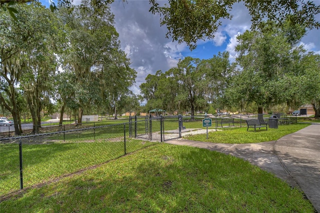 view of home's community with a yard