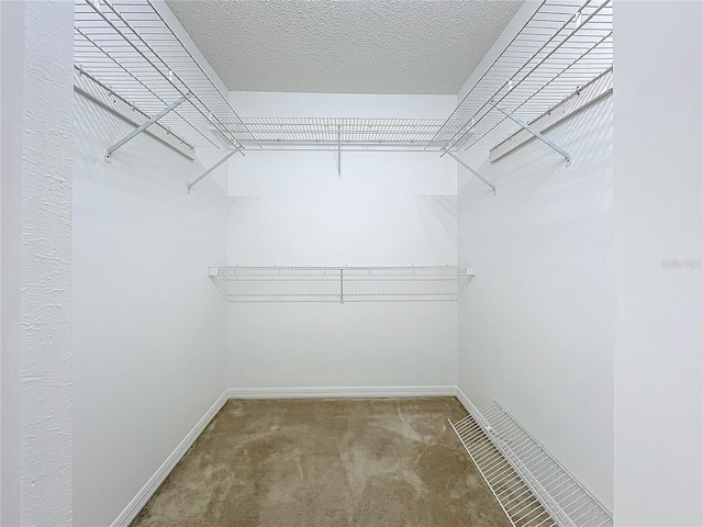 spacious closet featuring carpet floors