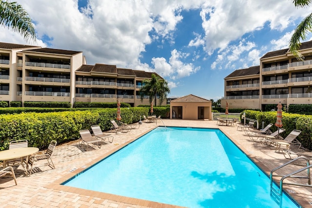 view of swimming pool with a patio area