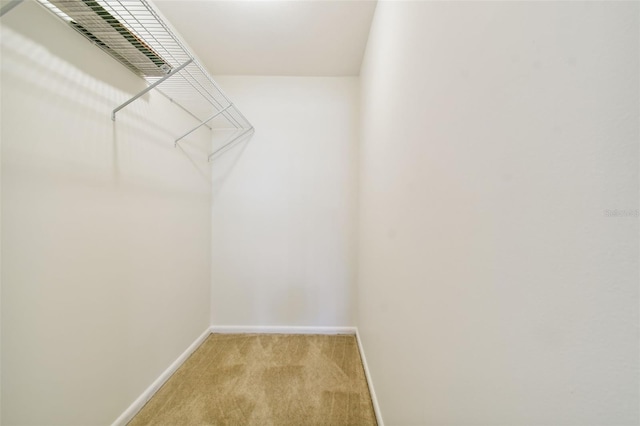 walk in closet with light colored carpet