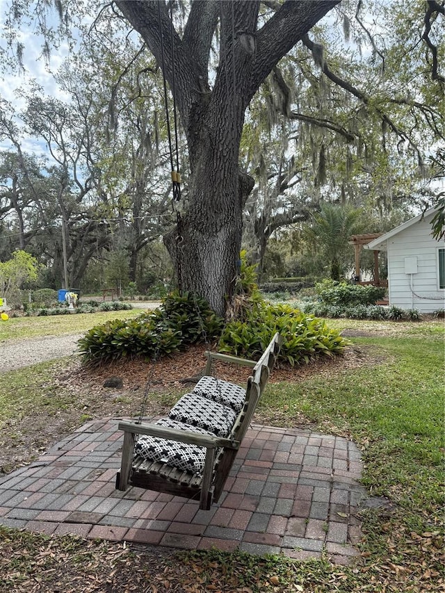 view of yard featuring a patio area