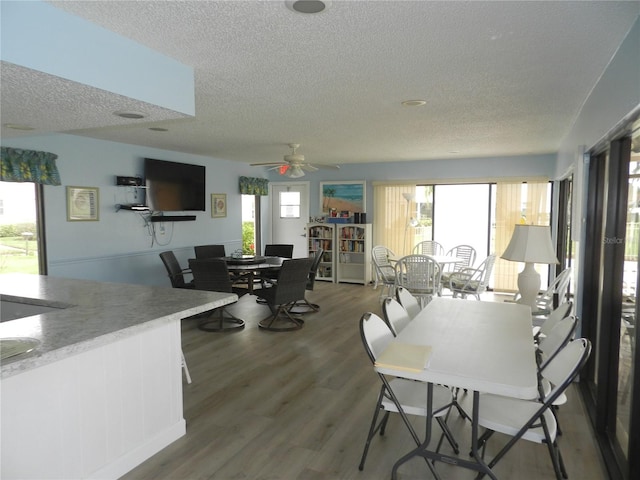 dining space featuring ceiling fan, hardwood / wood-style flooring, and a textured ceiling