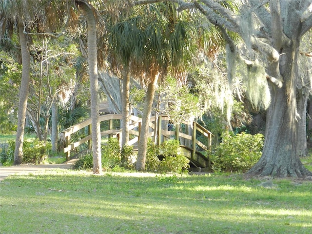 214 Elmwood Cir Unit 214, Seminole, FL 33777 - photo 54