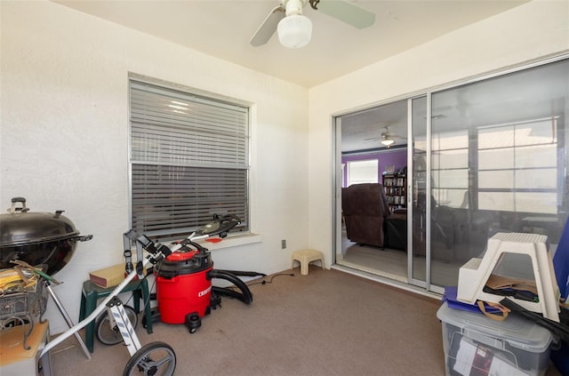 miscellaneous room featuring carpet and ceiling fan