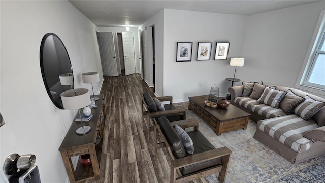 living room featuring hardwood / wood-style flooring