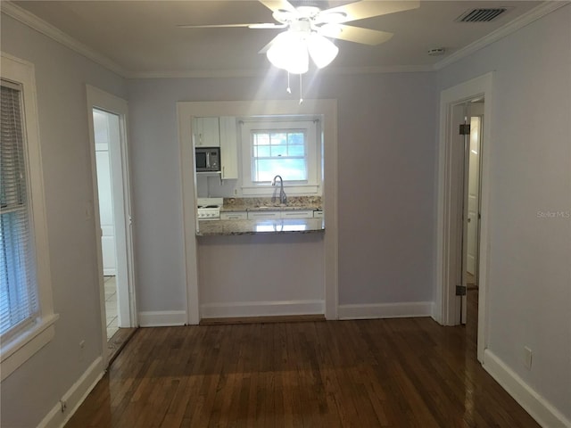 kitchen featuring sink, crown molding, and dark wood-type flooring