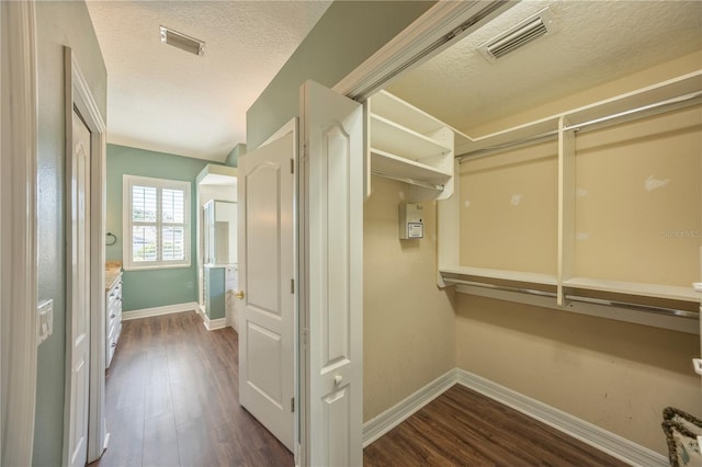 spacious closet featuring dark hardwood / wood-style floors