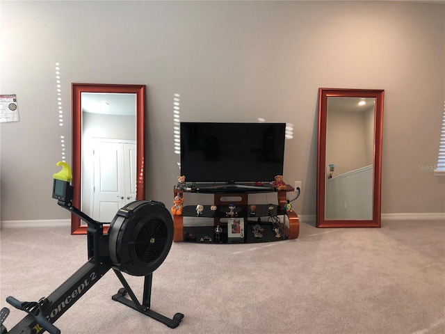 workout area featuring carpet