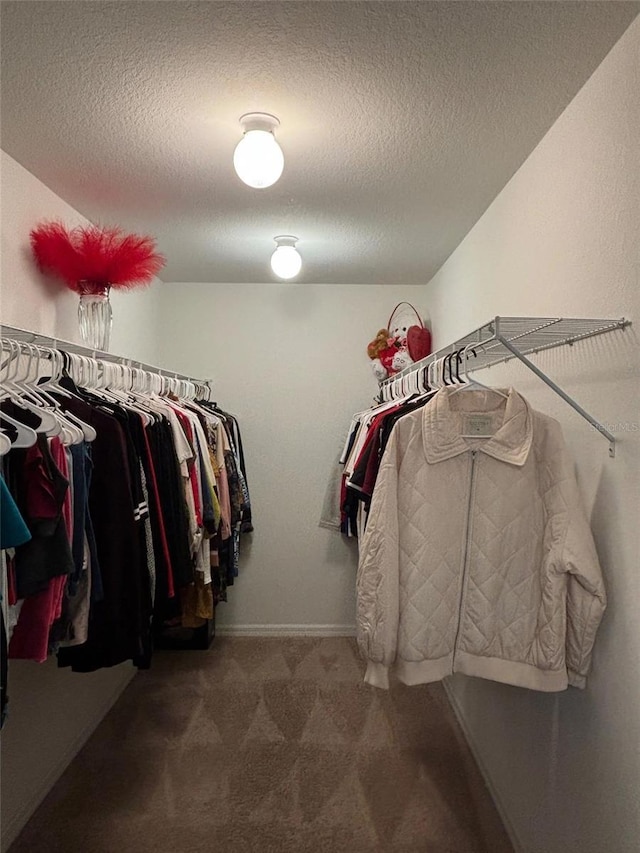 walk in closet featuring carpet floors