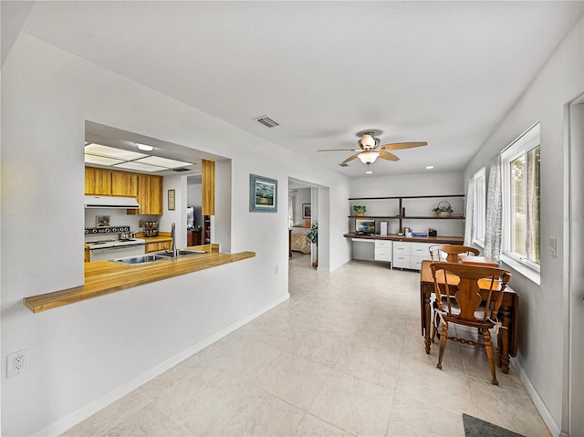 kitchen with sink, ceiling fan, and electric stove