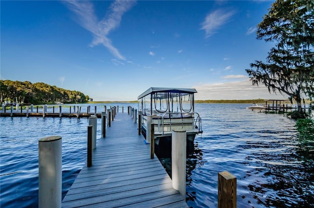 dock area featuring a water view