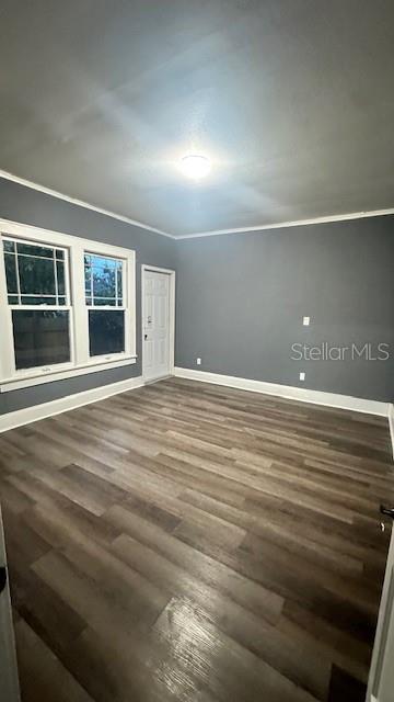 additional living space with dark hardwood / wood-style flooring