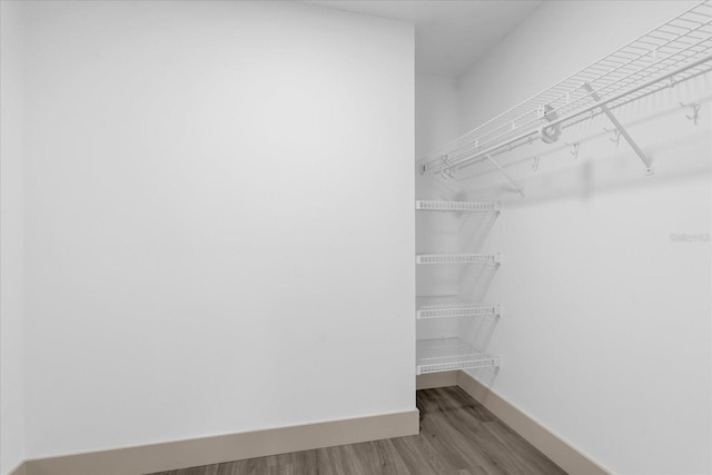 spacious closet with hardwood / wood-style floors