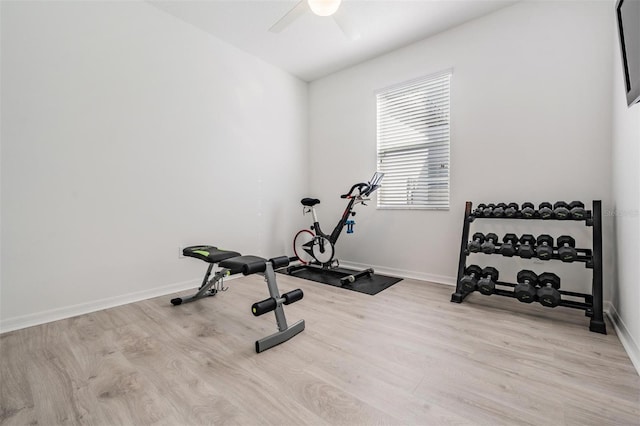 workout room featuring ceiling fan and light hardwood / wood-style flooring