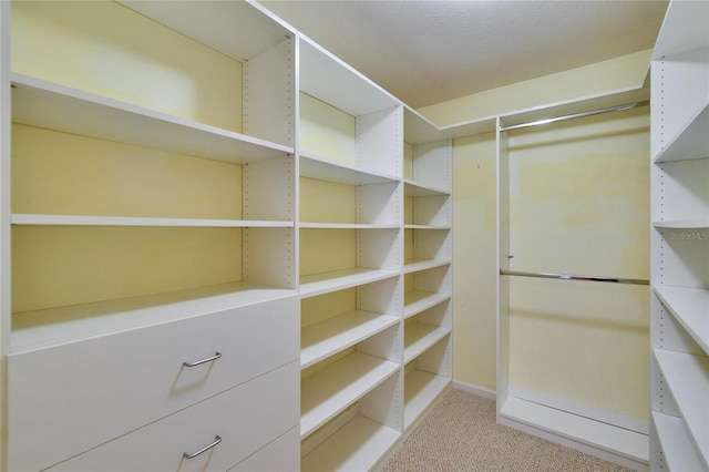 walk in closet with carpet floors